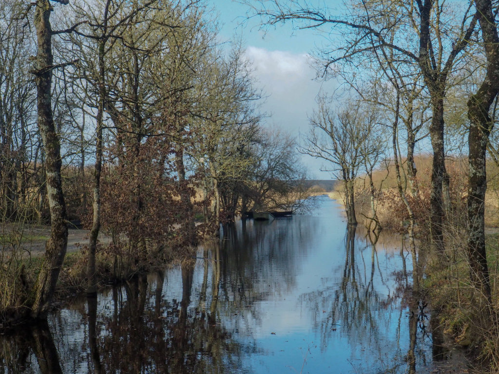 Marais de Goulaine