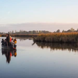 Le Marais de Brière