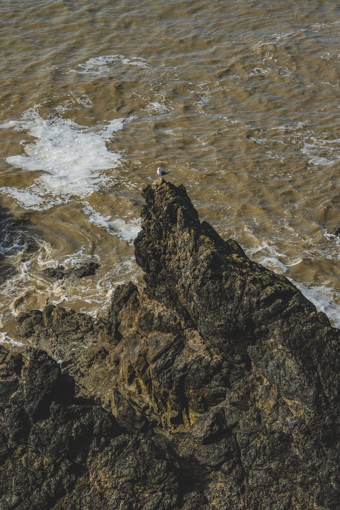 littoral-saint-nazaire
