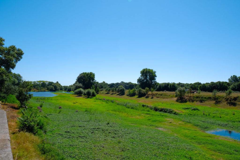Loire à Vélo Pays Ancenis