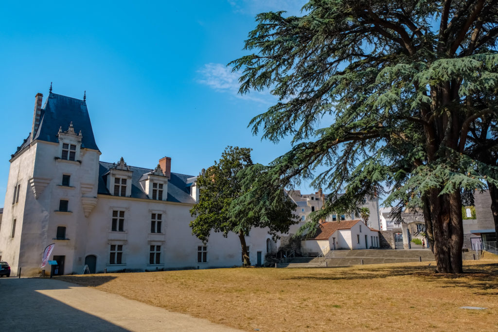 château Ancenis