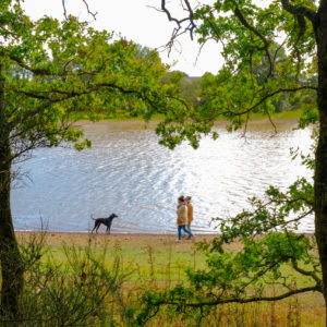 Marcheurs avec chien