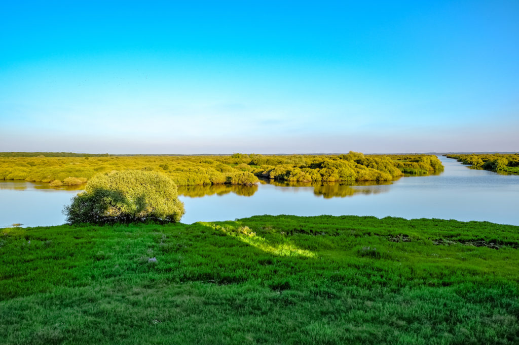 Lac de Grand-Lieu