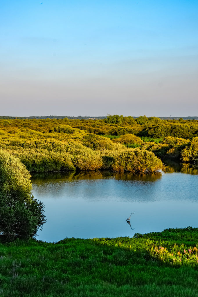 Lac de Grand-Lieu